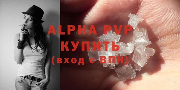 индика Алексин
