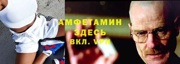 индика Алексин