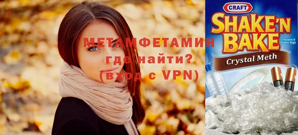 индика Алексин