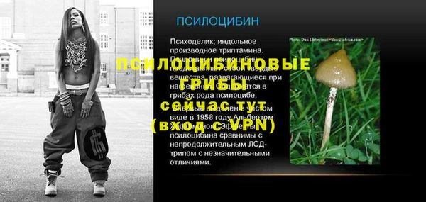 индика Алексин