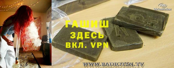 индика Алексин