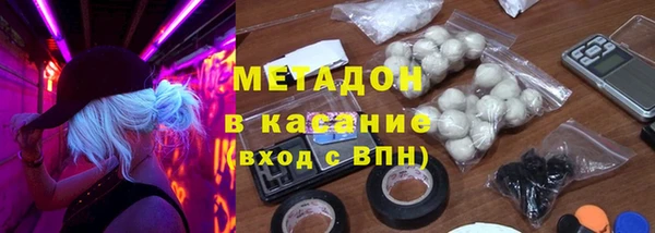 индика Алексин