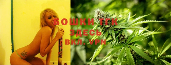 индика Алексин