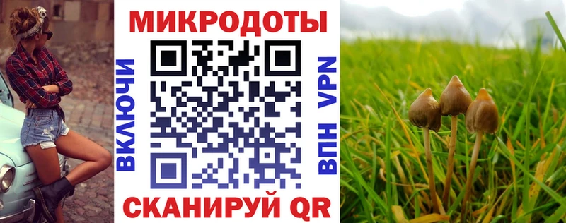 Псилоцибиновые грибы GOLDEN TEACHER  сколько стоит  Изобильный 