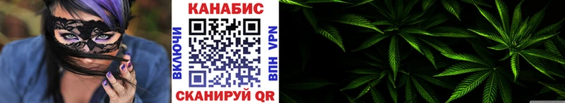 Каннабис OG Kush Изобильный